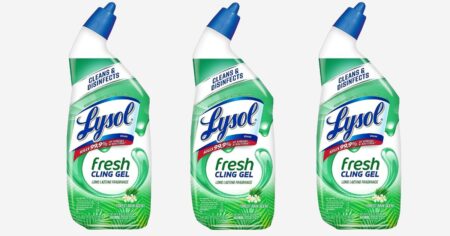 LYSOL TOILET BOWL CLEANER