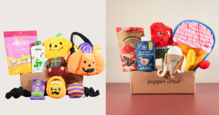 Pupper Crust s 1st Birthday Giveaway