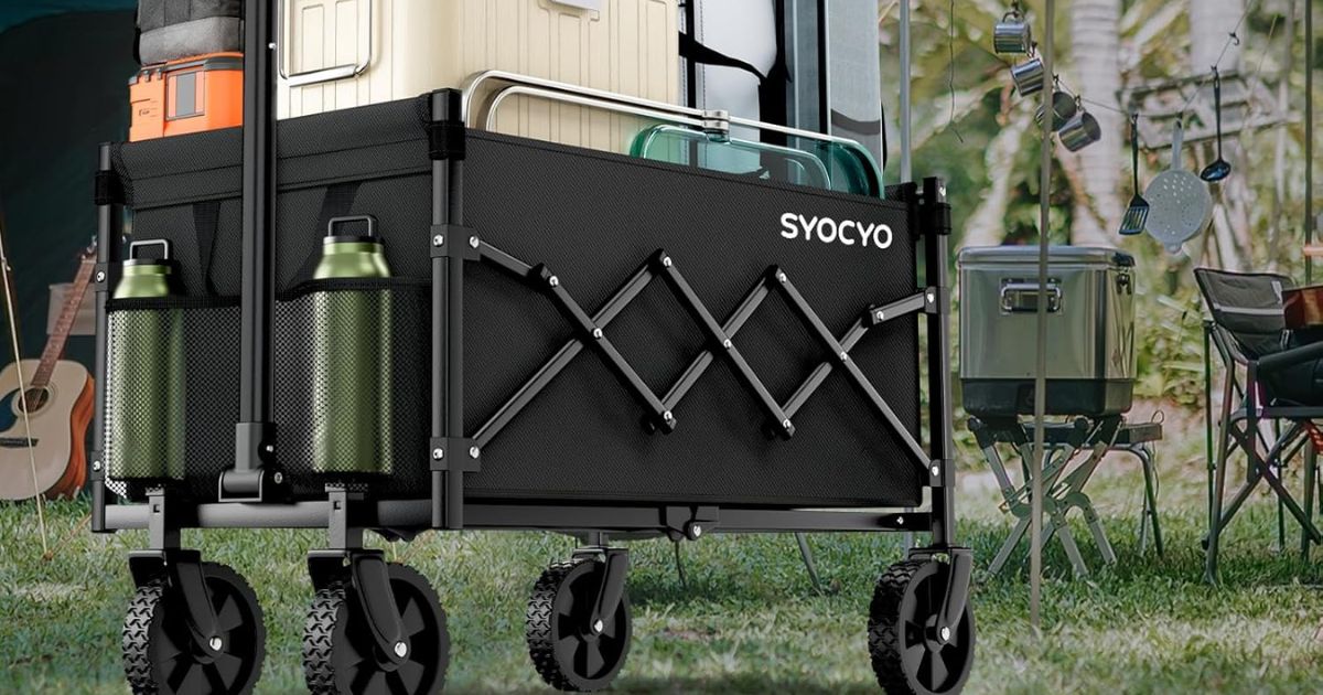 Syocyo Wagon Syocyo Wagon