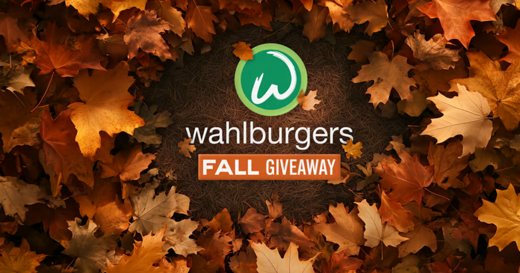 wahlburgers fall