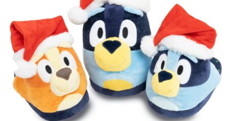 BLUEY SLIPPERS