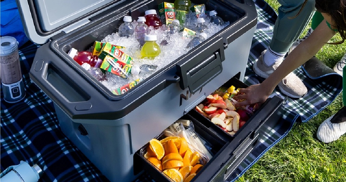 Ninja Frostvault cooler