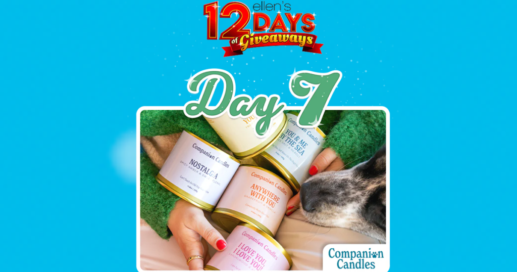 companion candles