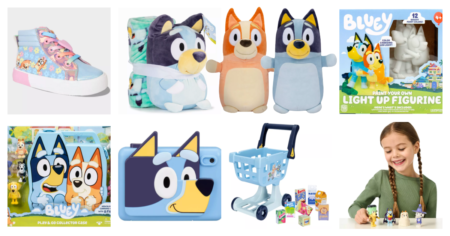 Bluey Toys