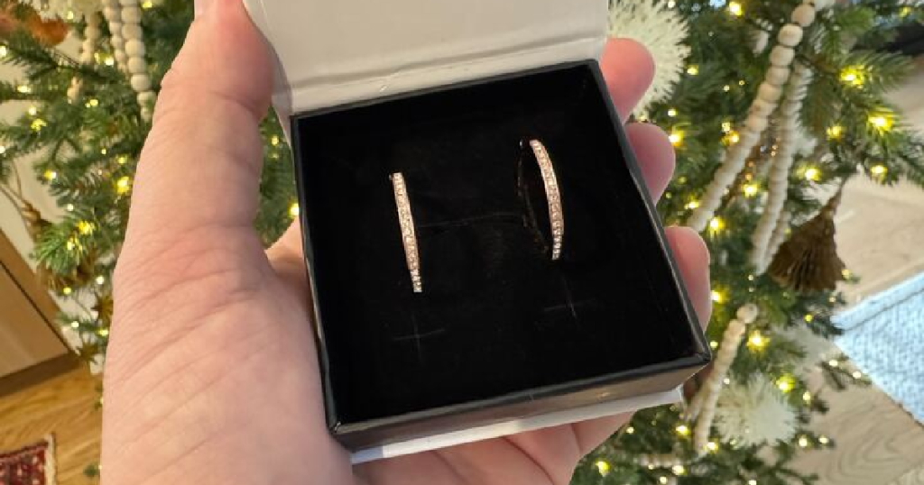 Cate Chloe Hoop Earrings Cate Chloe Hoop Earrings