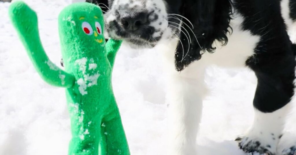 GUMBY DOG TOY