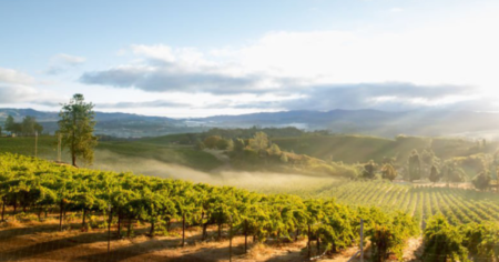 The Omaha Steaks 1917 Private Reserve Sweepstakes