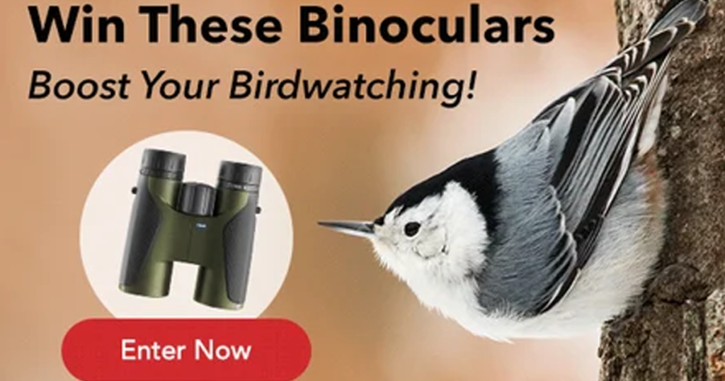 birdwatching binoculars