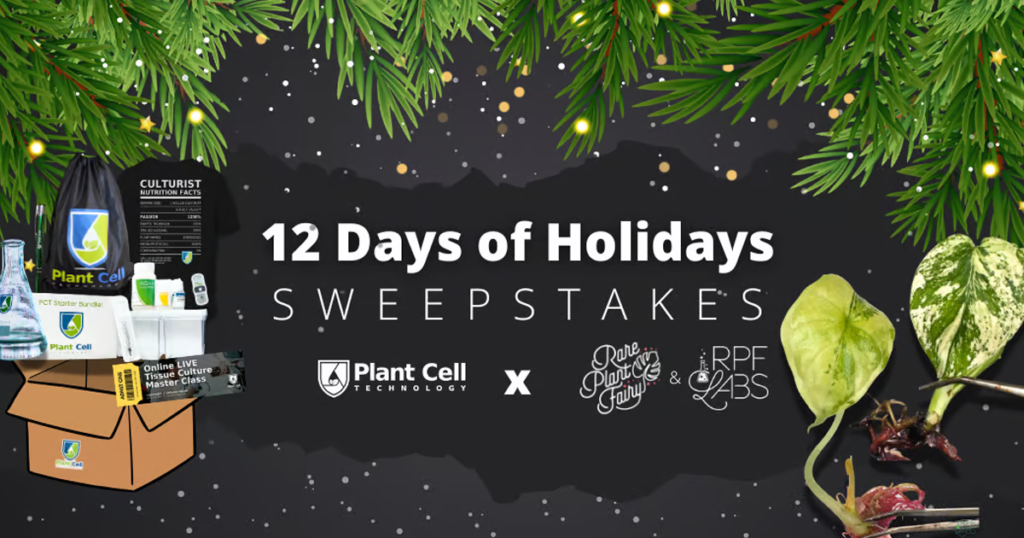 rare plants holiday sweepstakes