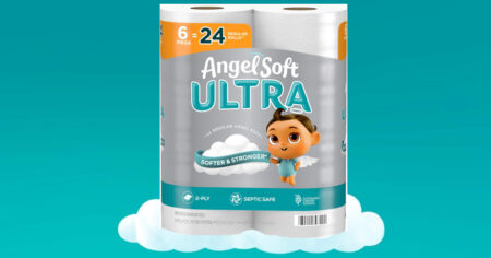 Angel Soft Toilet Paper