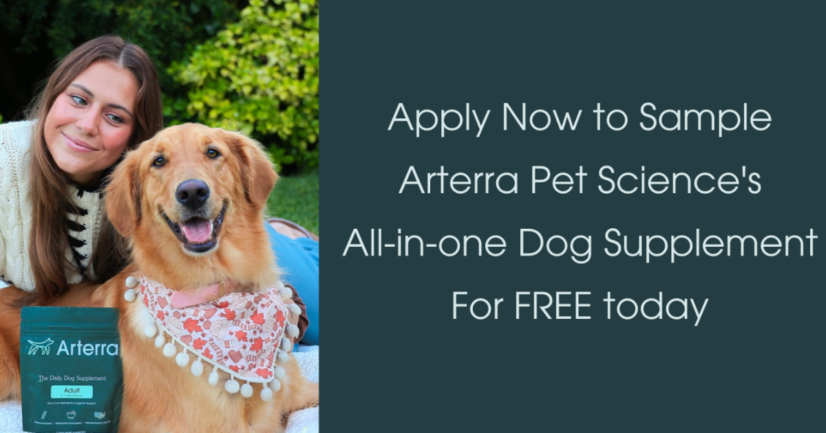 Arterra All in One Dog Supplement Arterra All in One Dog Supplement