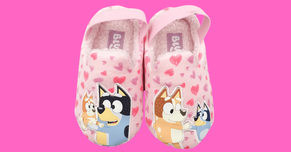 Bluey Slippers