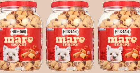Milk Bone Dog Treats