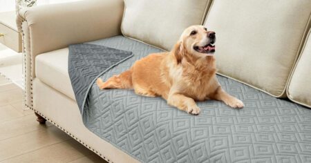 Waterproof Dog Blanket