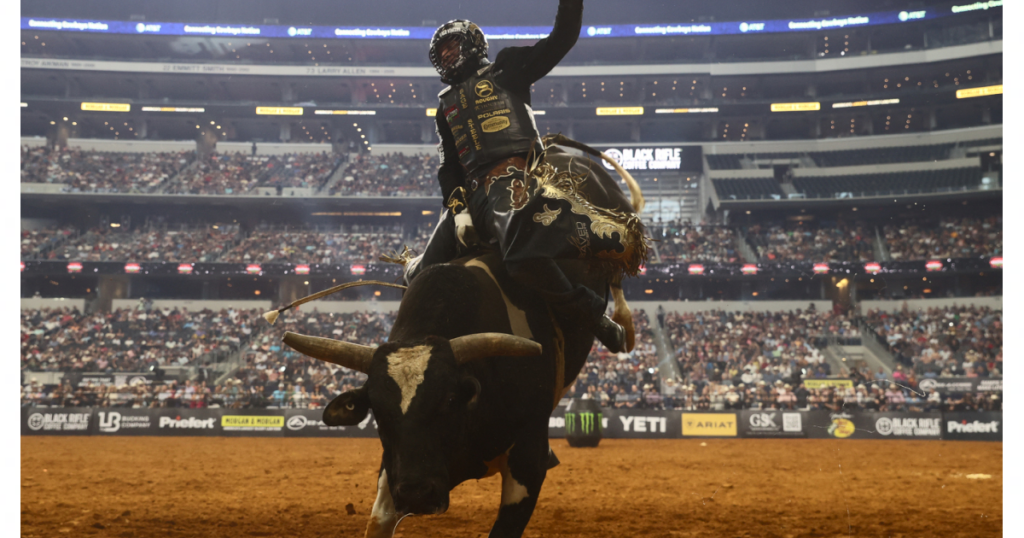 bull racing