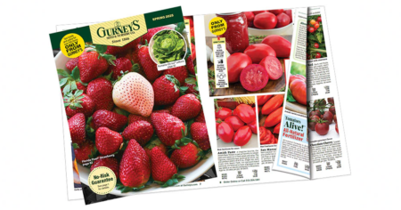 gurneys seed catalog