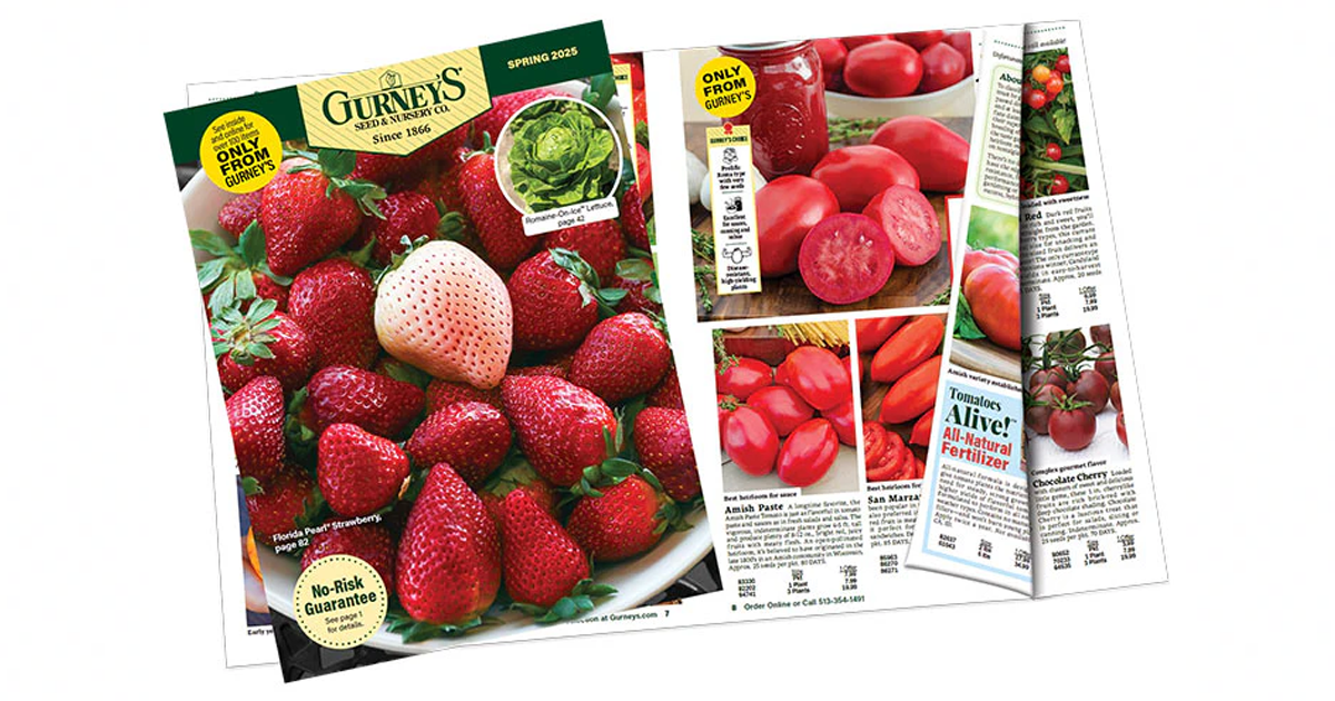 gurneys seed catalog