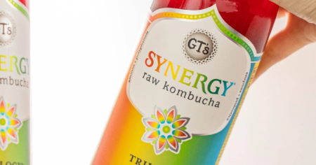 synergy raw kombucha