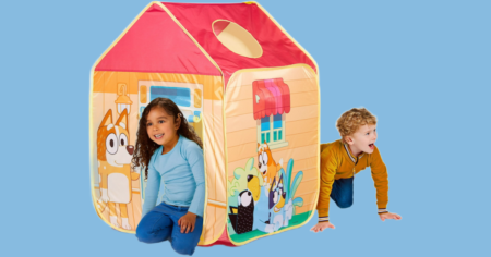 Bluey tent