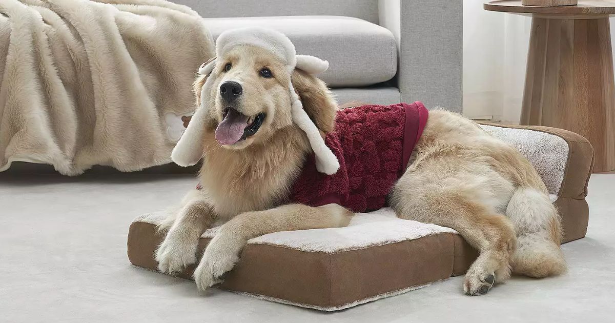 Koolaburra by UGG Pet