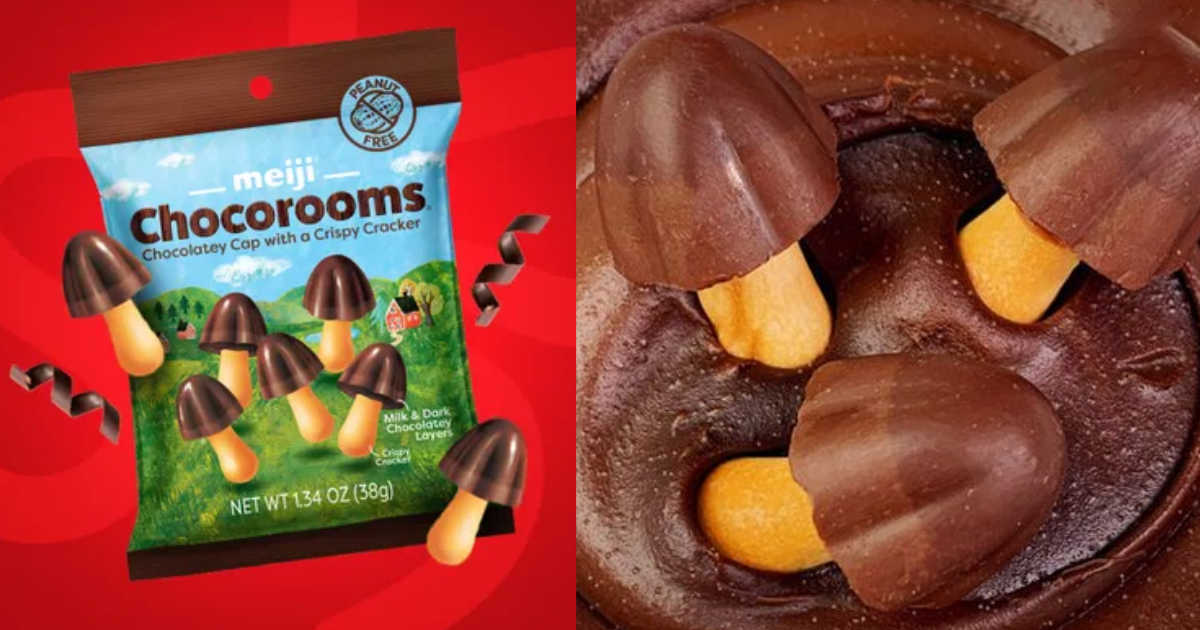 Possible Free Chocorooms with Peekage