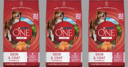 Purina One Dog Food