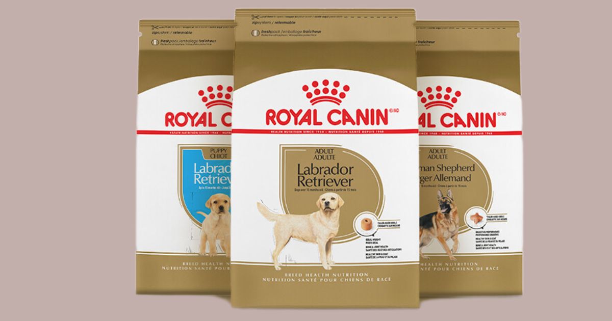 Royal Canin