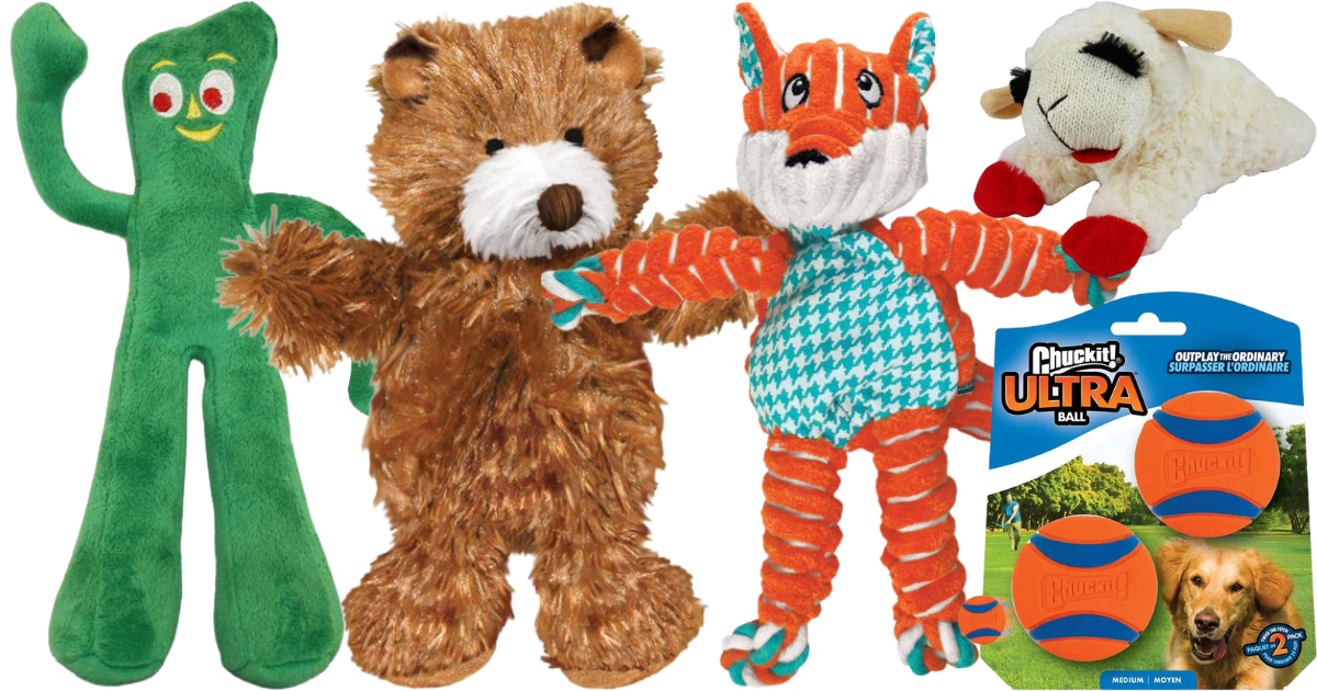 chewy toys chewy toys