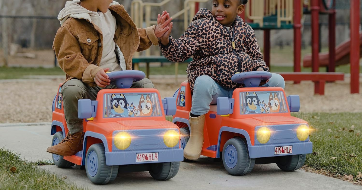 Bluey Truck Bluey Truck