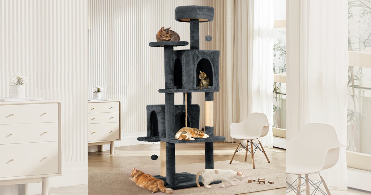 CAT TOWER