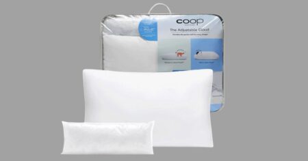 Coop Home Goods Cloud Pillow