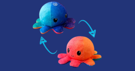 REVERSIBLE PLUSHIE