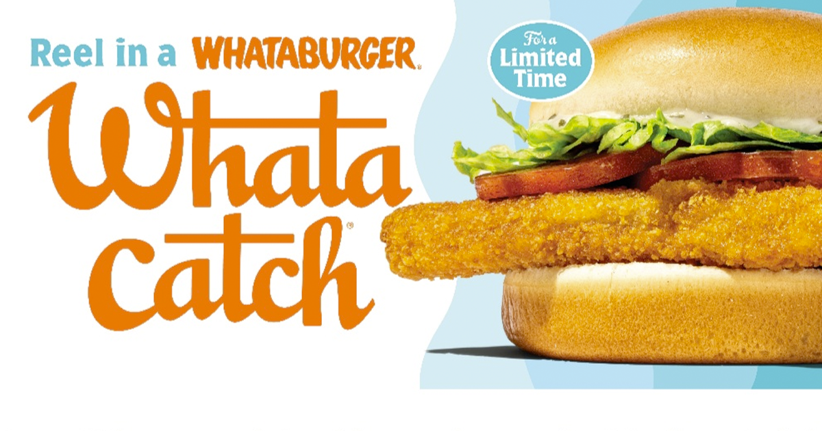 whatacatch whatacatch