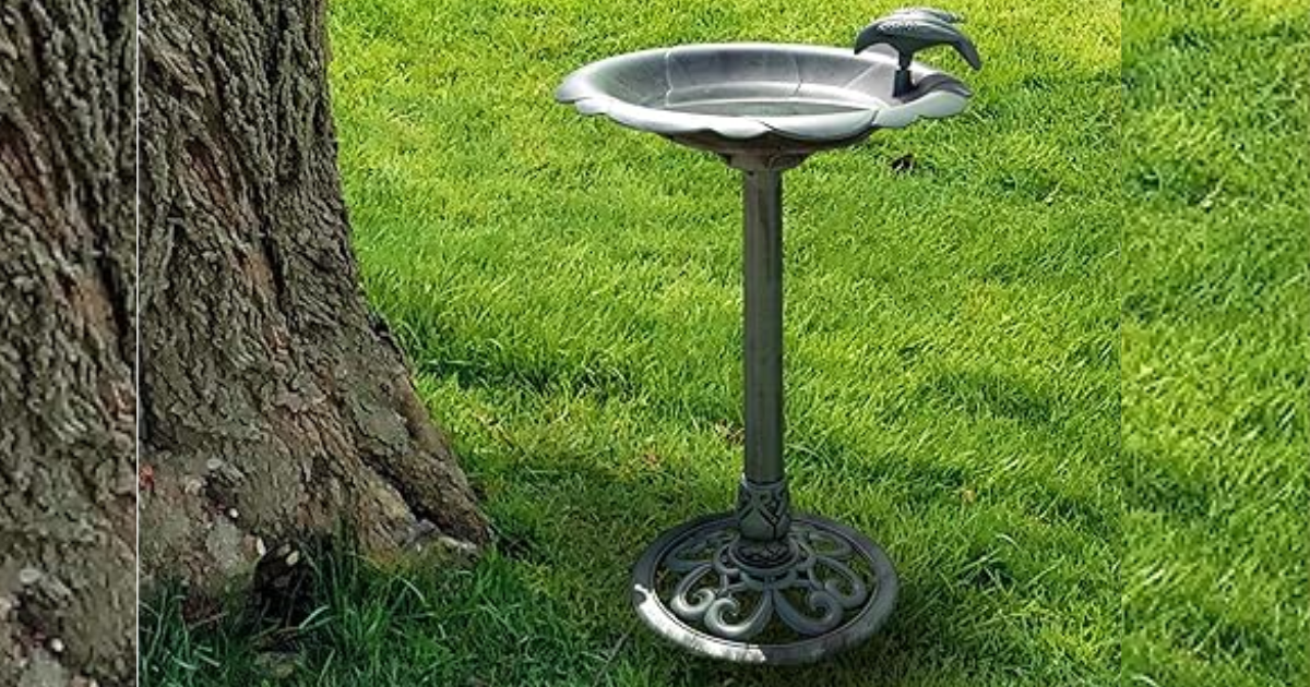 BIRDBATH