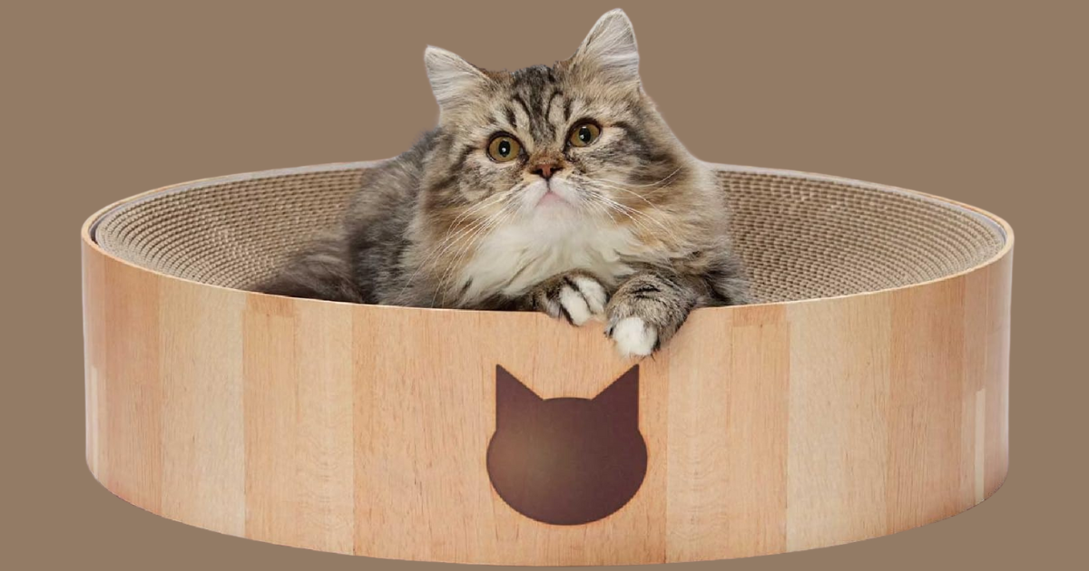 Cat Bowl Scratcher Cat Bowl Scratcher