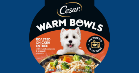 Cesar Warm Bowls