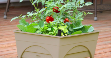 City Pickers Garden Box