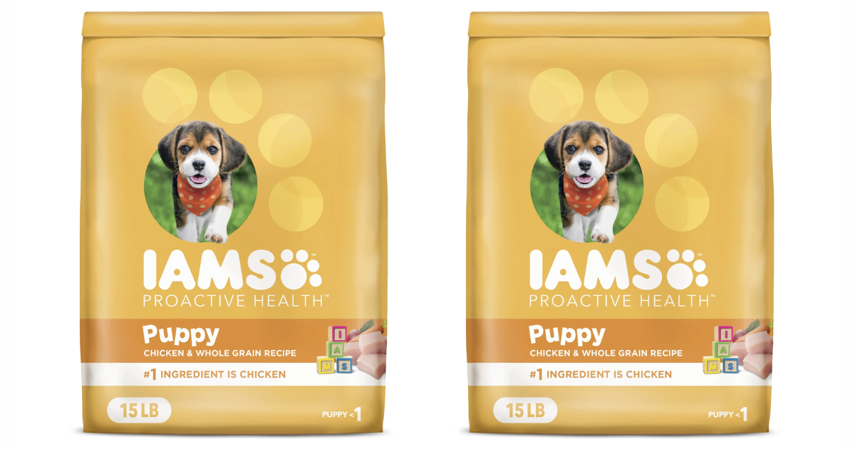IAMS Dry Puppy Food