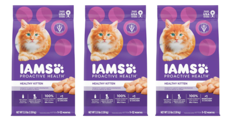 IAMS Kitten Dry Food