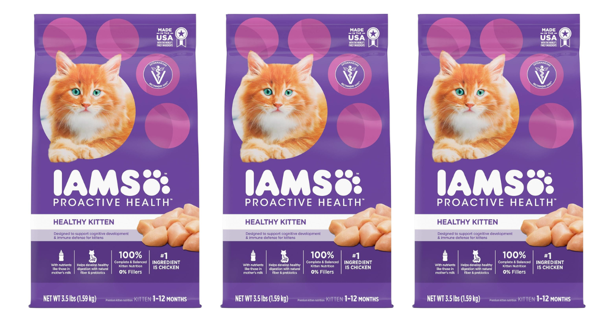 IAMS Kitten Dry Food