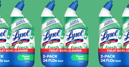 Lysol Fresh Rain 2 pack