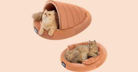 PET BED