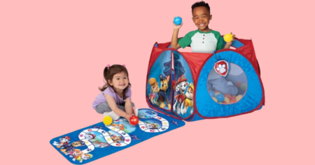 Paw Patrol Ball Pit