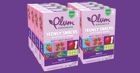 Plum Organics Fruit Snacks