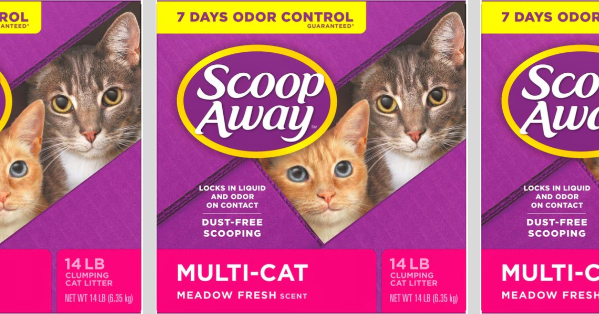 Scoop Away Scoop Away