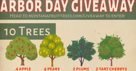 arbor day giveaway