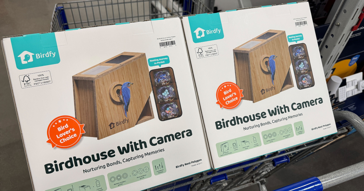 birdfy birdhouse birdfy birdhouse