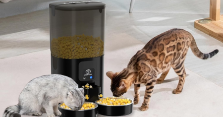 cat feeder