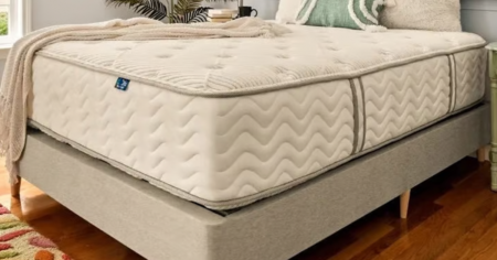 dlx mattress