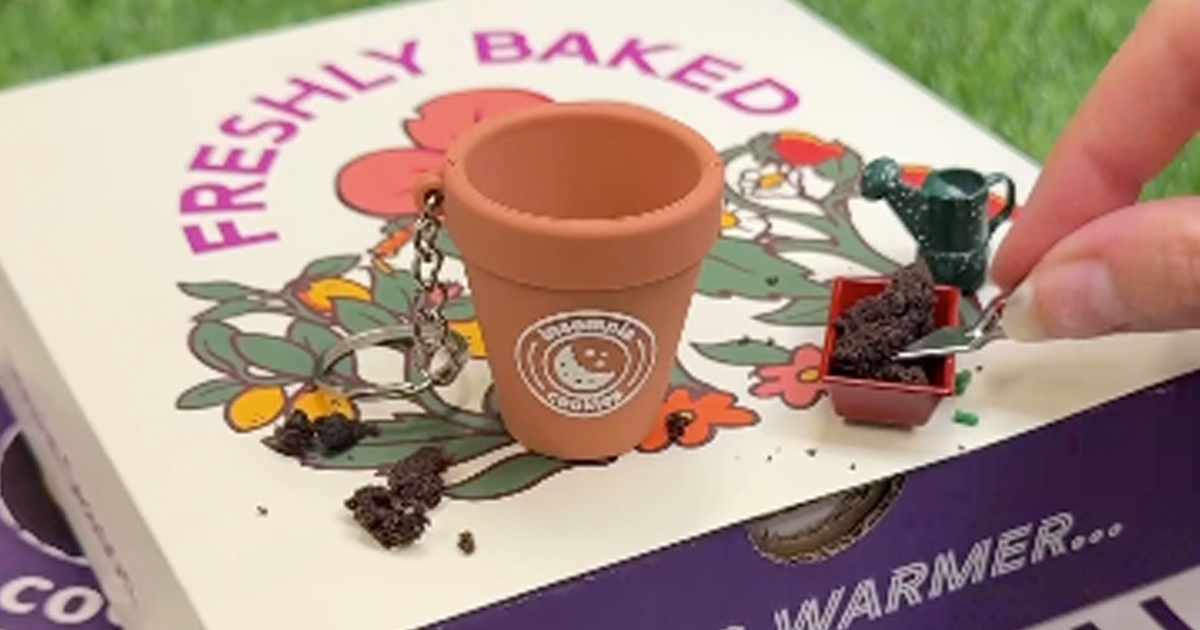 insomnia cookies keychain